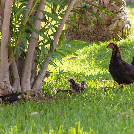 Beautiful In דירה טורבייחה